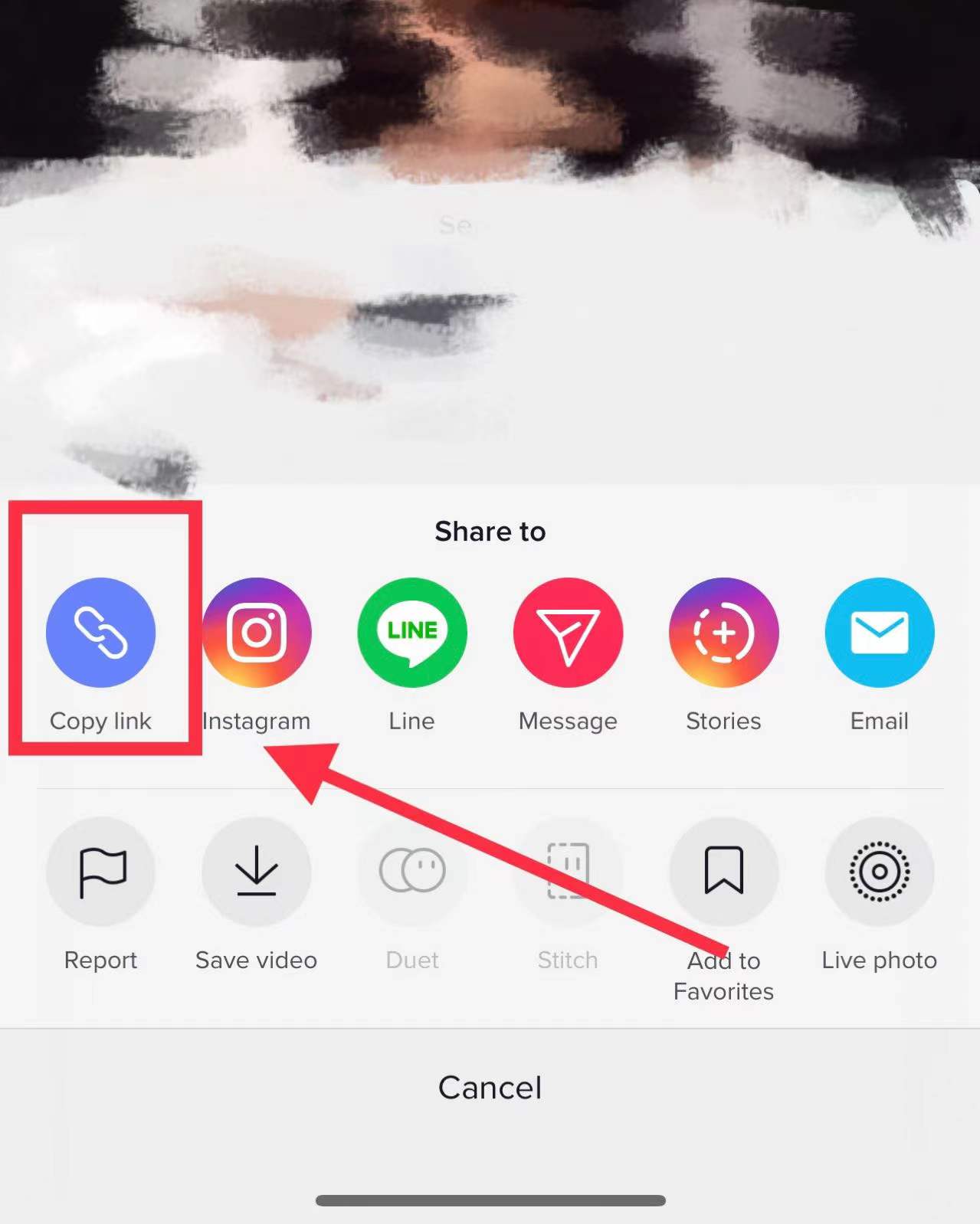 TikTok User Manual